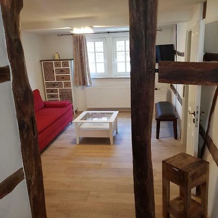 Zauberhafte Wohnung In Der Naehe Von Heidelberg, Top Lage Hirschhorn Exterior foto