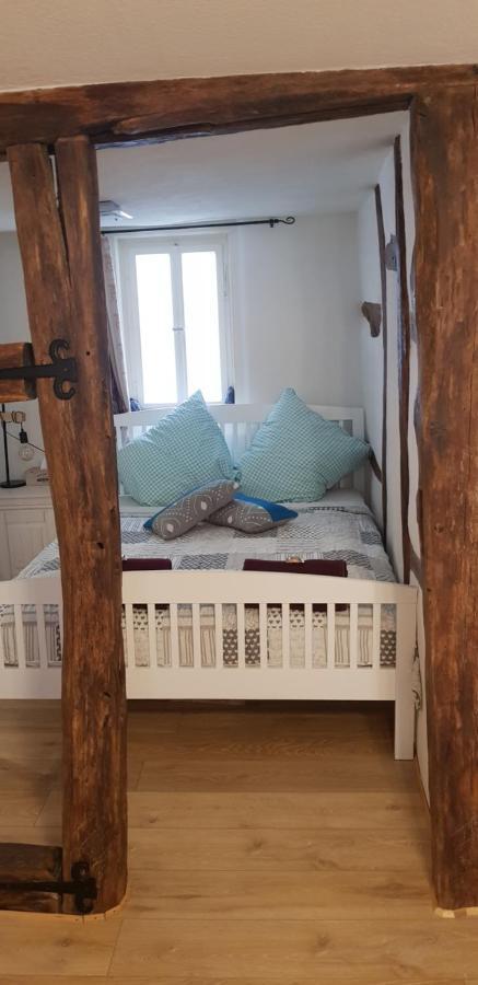 Zauberhafte Wohnung In Der Naehe Von Heidelberg, Top Lage Hirschhorn Exterior foto