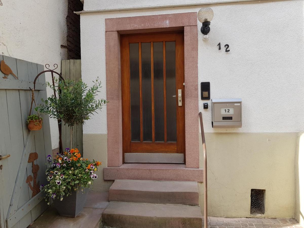 Zauberhafte Wohnung In Der Naehe Von Heidelberg, Top Lage Hirschhorn Exterior foto